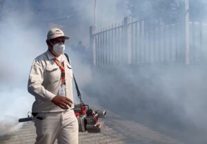 ESTADO DENGUE (1)