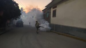 MARQUELIA Desde hace más de medio año no se fumiga