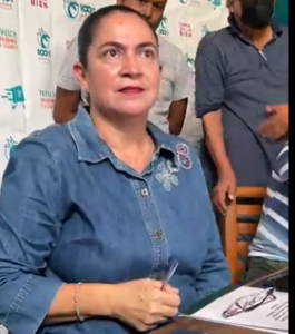 PRINCIPAL pilar badillo