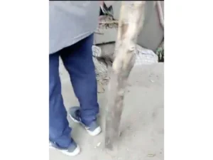 ROJA ATACAN COMERCIO EN CUAUTLA