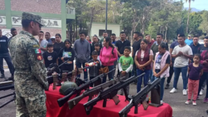 estado ejercito demostracion