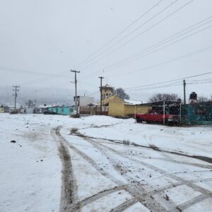 nacoinal nevadas (1)