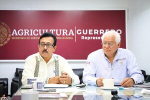 ESTADO FERTILIZANTE (1)