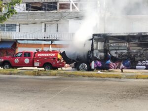 ROJA-BOMBEROS-ATIENDE-EL-SINIESTRO