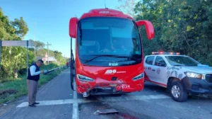 ROJA EL AUTOBÚS INVOLUCRADO