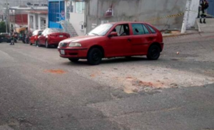 ROJA EL POINTER