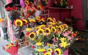 SAN LUIS FLORES