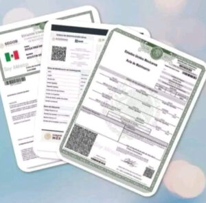 estado los formatos