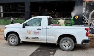 estado vectores