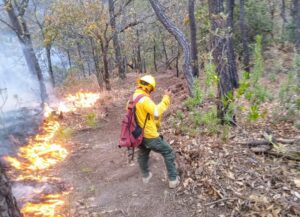 ESTADO-INCENDIO-EN-BUENA-VISTA