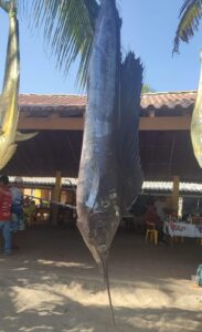 Marquelia.-Barra-de-Tecoanapa-celebrara-Dia-del-Pescador