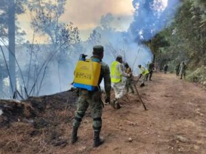 NACIONAL OAXACA INCENDIOS