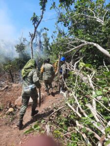 boletin evelyn incendios (1)
