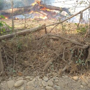 AZOYU-Incendio-lleva-4-dias-en-Macahuite