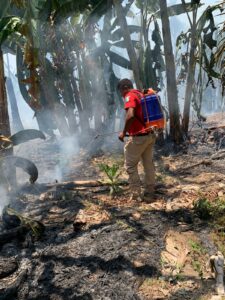 BOLETÍN MARQUELIA EL INCENDIO (1)