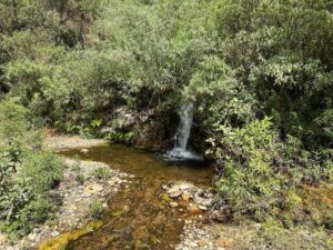 ESTADO FUENTES DE AGUA DE CHILPANCINGO (4)