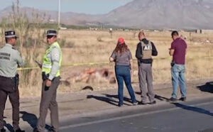 ROJA ENCUENTRAN 8 CUERPOS