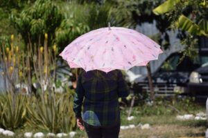 estado altas temperaturas