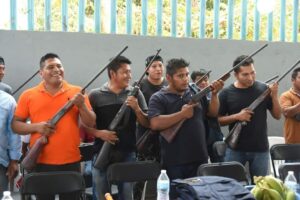 estado autodefensas