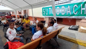 estado cobach