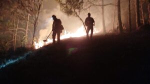estado incendio sierra (1)