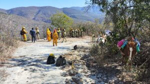 estado-incendios-activos-3
