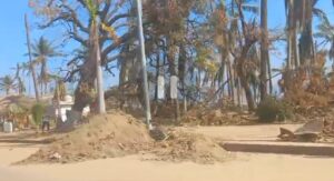 estado parque nacional devastado