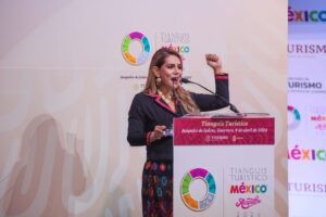 principal tianguis 1