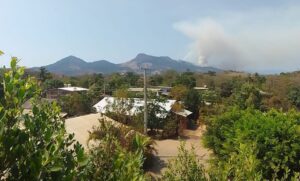 roja sierra de petatlan