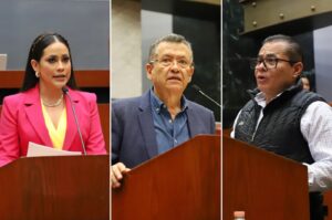 CONGRESO DIPUTADOS PROMOVENTES