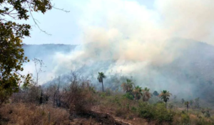 ESTADO INCENDIOS EN EL PUERTO
