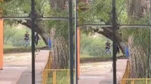 ROJA ARMADOS