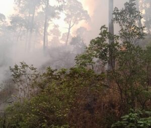 SAN LUIS EL INCENDIO