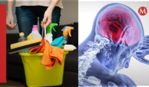 SOCIALES-QUIMICOS-CEREBRALES