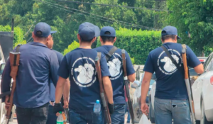 estado autodefensas 1