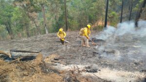estado-cinco-incendios-1