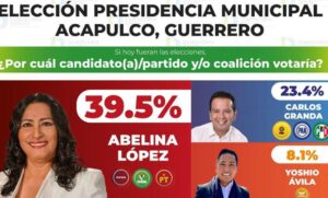 estado-encuesta-demoscopia