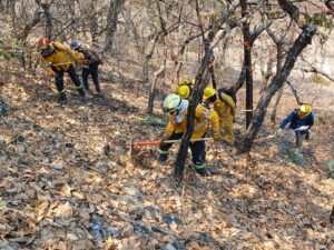 estado incendios (1)