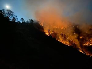 estado-incendios-en-la-siserra