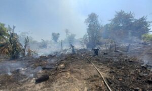 estado-multas-por-incendios