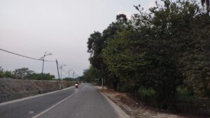 marquelia Motociclista sin casco