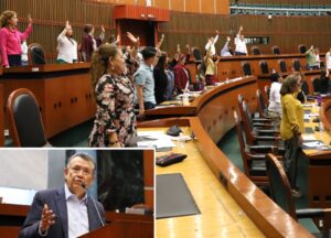 principal diputados votando