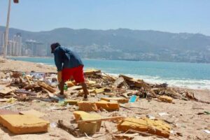 sociales recoleccio´n (1)