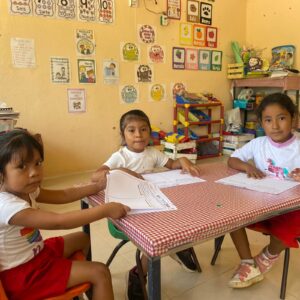 BOLETÍN MARQUELIA APLICANDO LA ENCUESTA (4)