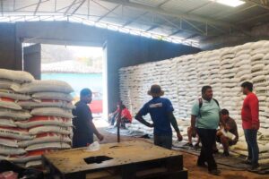 ESTADO FERTILIZANTE (3)