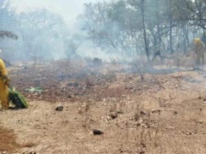 ESTADO INCENDIOS FORESTALES