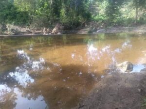 OME EL RÍO