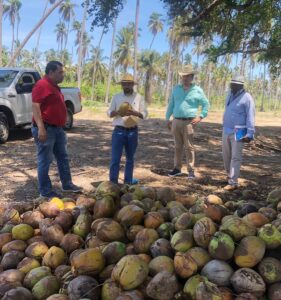 estado coco exportacion (3)