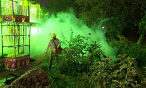 estado fumigaciones