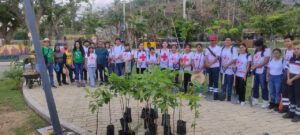 estado papagayo reforestacion (1)